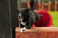 2013-05-19 um 14-10-05 (1)
